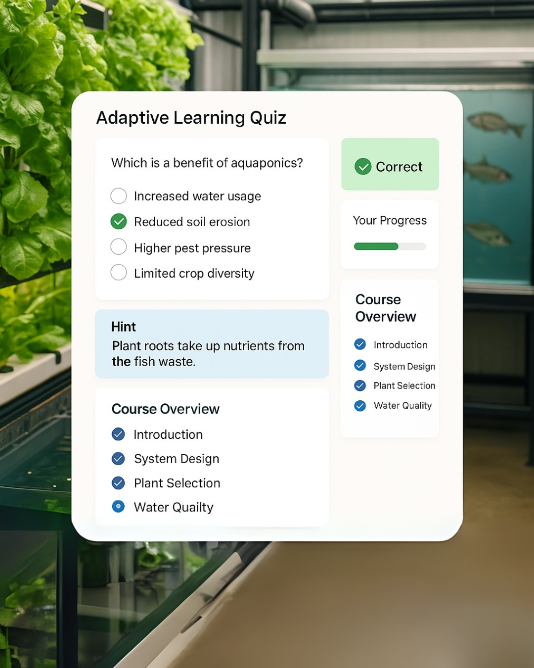 Quiz