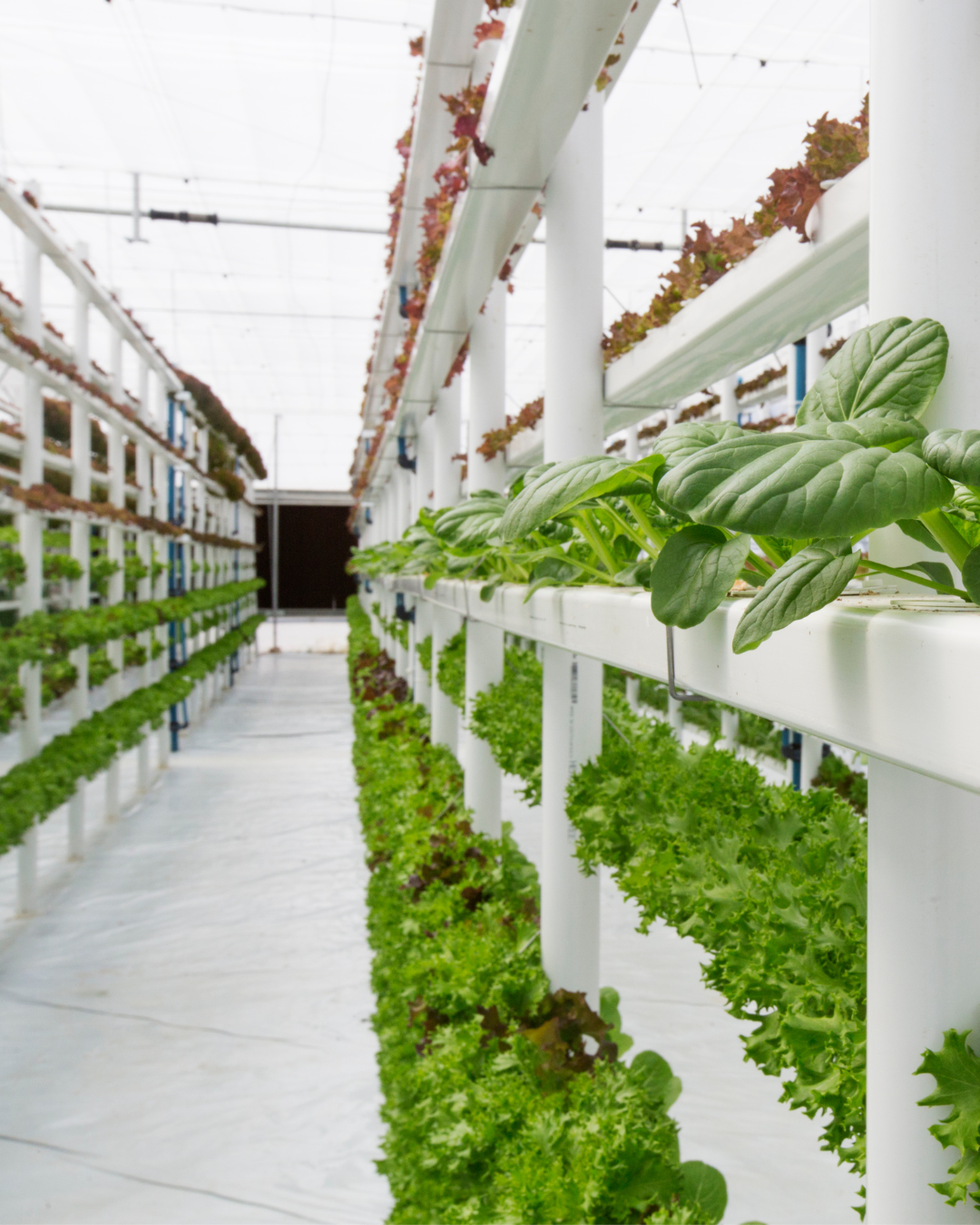 autonomous farm